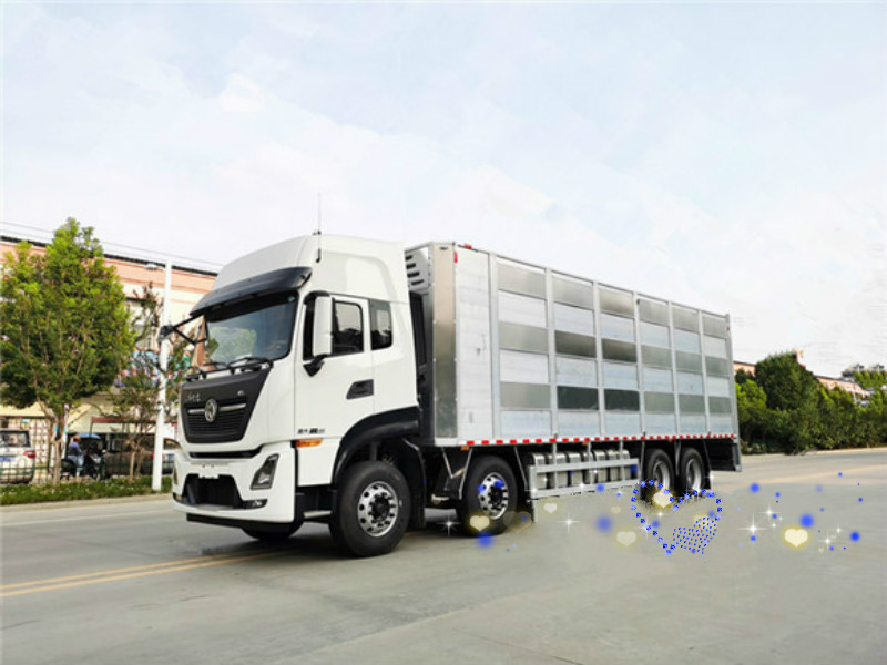 国五东风天龙前四后八畜禽运输车